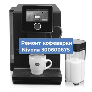 Замена прокладок на кофемашине Nivona 300600675 в Челябинске
